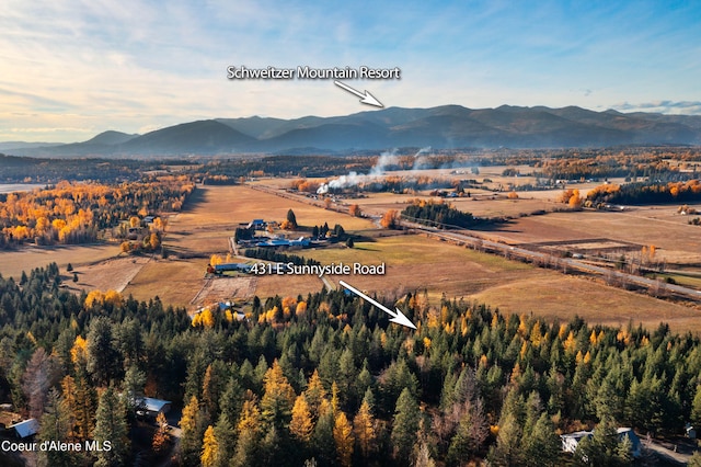 birds eye view of property featuring a mountain view and a rural view