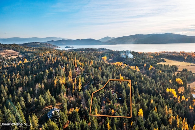 birds eye view of property featuring a water and mountain view