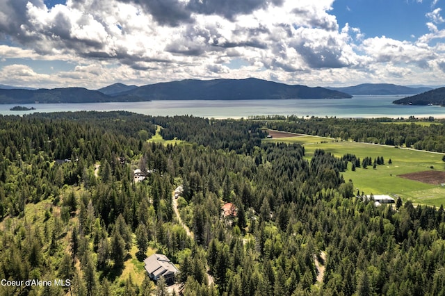 431 E Sunnyside Rd, Sandpoint, ID 83864 - view of mountain background with a large body of water and a forest
