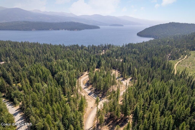 aerial view featuring a water and mountain view