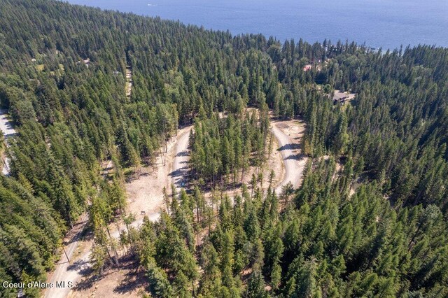 240 Brown Bear Dr, Nordman, ID 83848 - photo 15