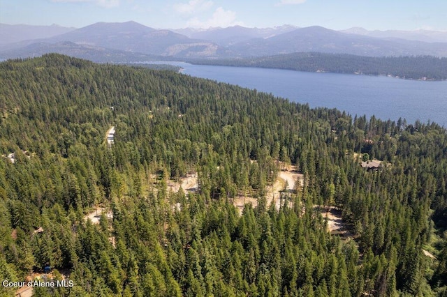 bird's eye view featuring a water and mountain view