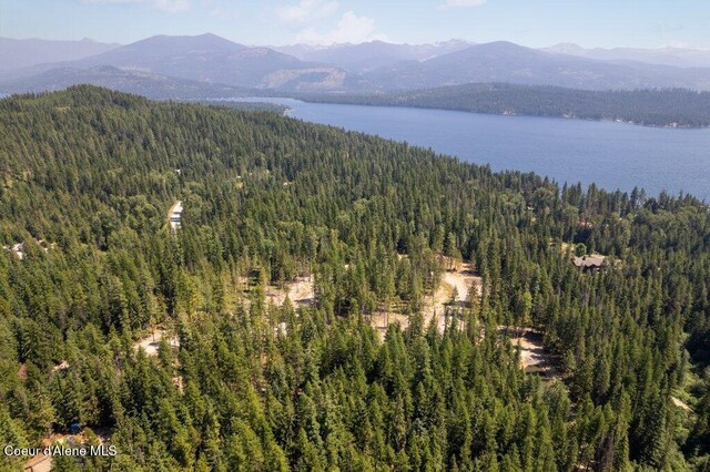 240 Brown Bear Dr, Nordman, ID 83848 - photo 16