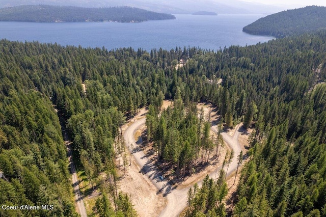 birds eye view of property with a water and mountain view