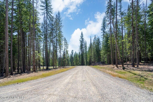240 Brown Bear Dr, Nordman, ID 83848 - photo 20