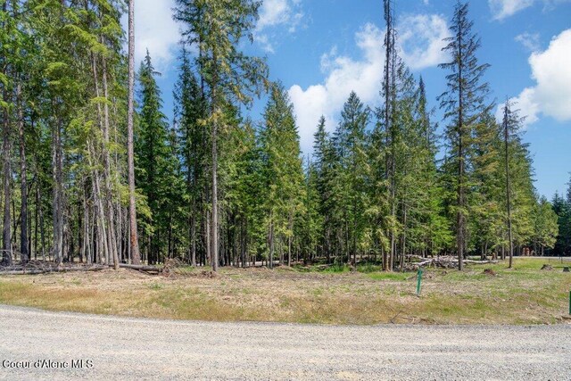 240 Brown Bear Dr, Nordman, ID 83848 - photo 22