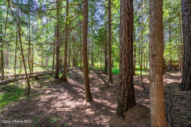 view of local wilderness