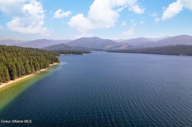 water view featuring a mountain view