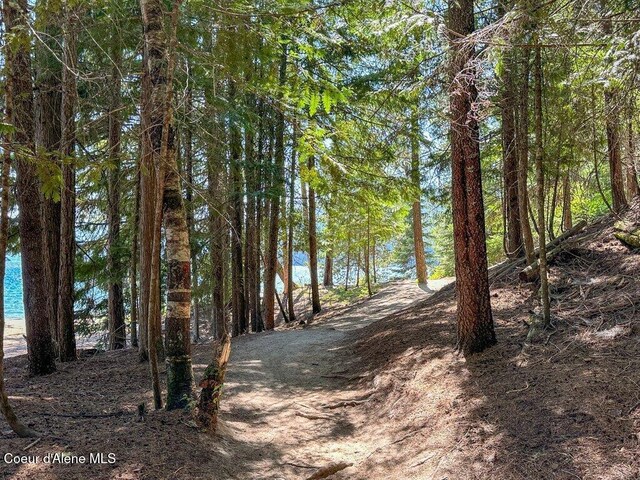 240 Brown Bear Dr, Nordman, ID 83848 - photo 31