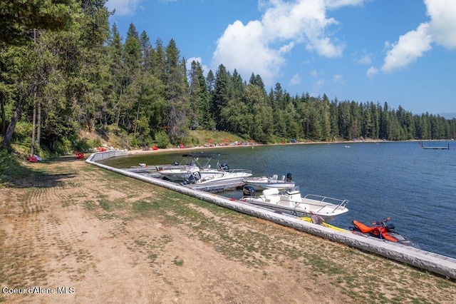 dock area featuring a water view