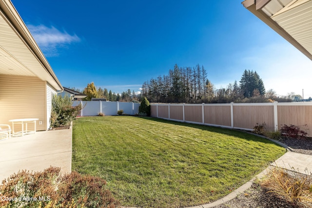 view of yard with a patio