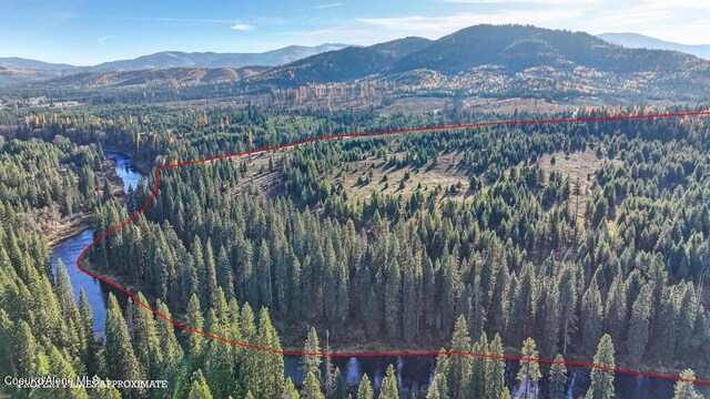 1382 Copperhead Ln, Santa, ID 83866 - photo 5