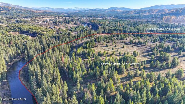 1382 Copperhead Ln, Santa, ID 83866 - photo 6