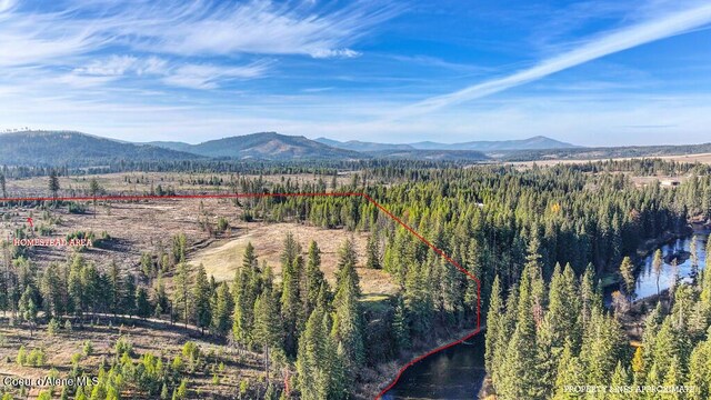 1382 Copperhead Ln, Santa, ID 83866 - photo 9