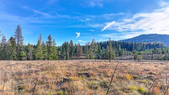1382 Copperhead Ln, Santa, ID 83866 - photo 11
