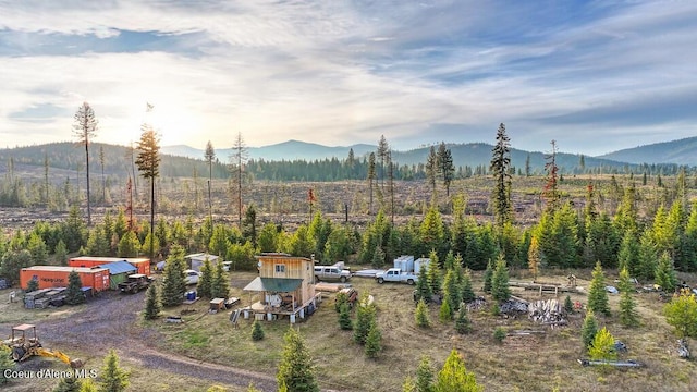 1382 Copperhead Ln, Santa, ID 83866 - photo 13