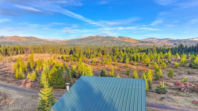 1382 Copperhead Ln, Santa, ID 83866 - photo 18