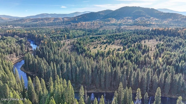 1382 Copperhead Ln, Santa, ID 83866 - photo 28