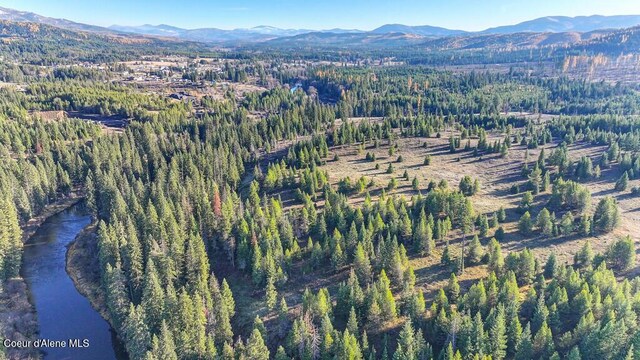 1382 Copperhead Ln, Santa, ID 83866 - photo 29