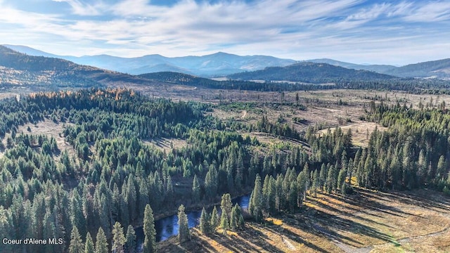 1382 Copperhead Ln, Santa, ID 83866 - photo 30