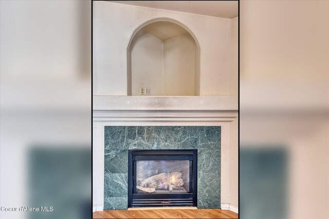 details featuring a high end fireplace and wood finished floors