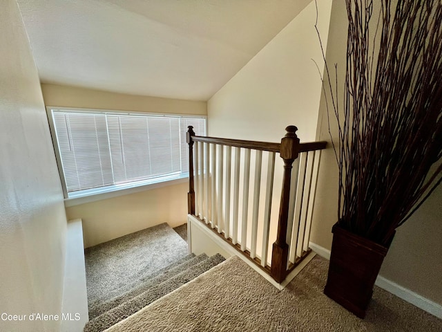 stairway featuring carpet floors