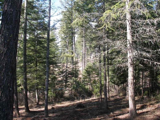 LOT92 Buckrail Rd, Harrison ID, 83833 land for sale