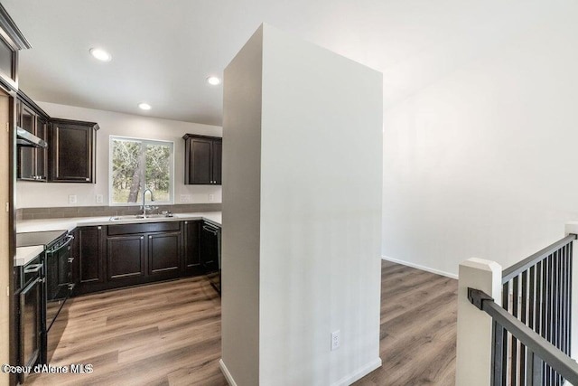 kitchen with dark brown cabinetry, range hood, light hardwood / wood-style flooring, and sink