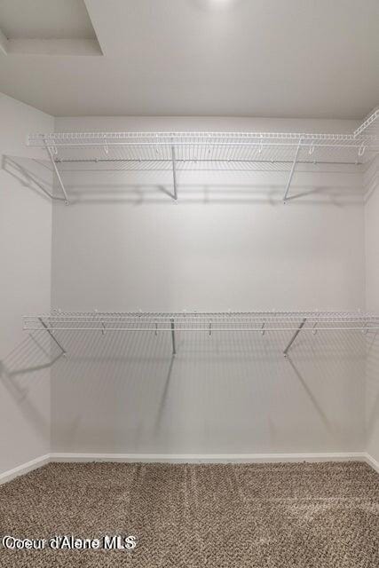 walk in closet featuring carpet floors