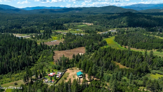 drone / aerial view with a mountain view