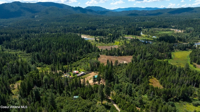 drone / aerial view featuring a mountain view