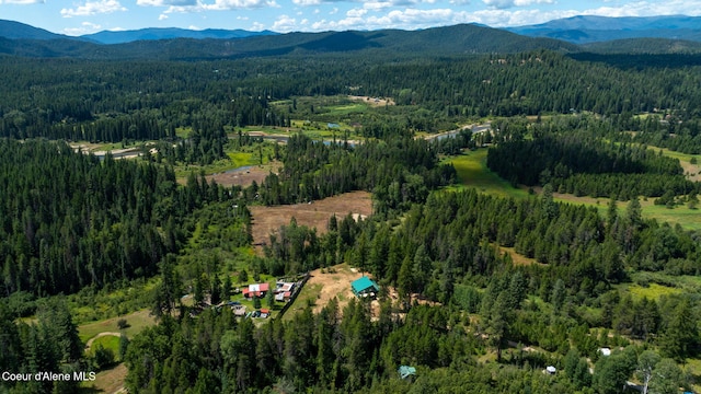 aerial view with a mountain view