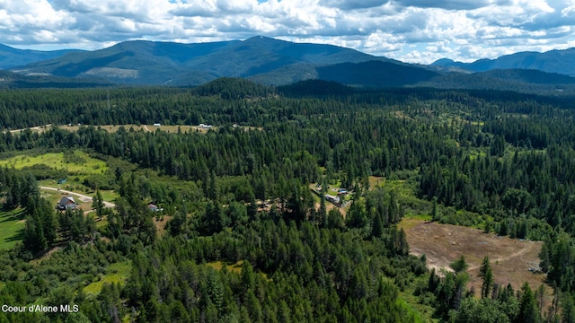 view of mountain feature