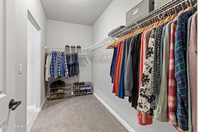 walk in closet with carpet flooring