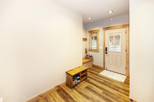 interior space featuring hardwood / wood-style floors