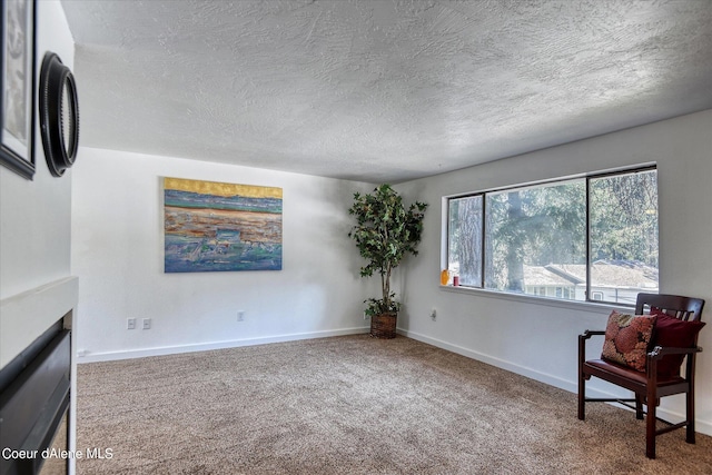 living area featuring carpet flooring and a textured ceiling