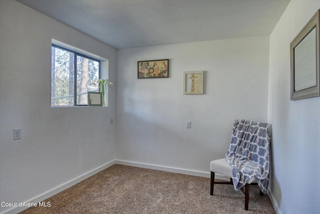 sitting room with carpet floors