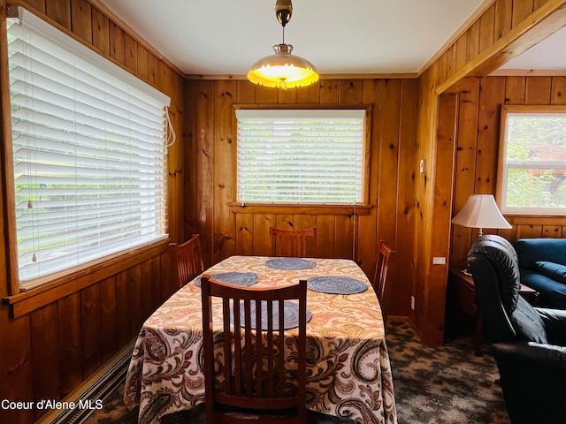 dining room featuring wooden walls, crown molding, and a healthy amount of sunlight