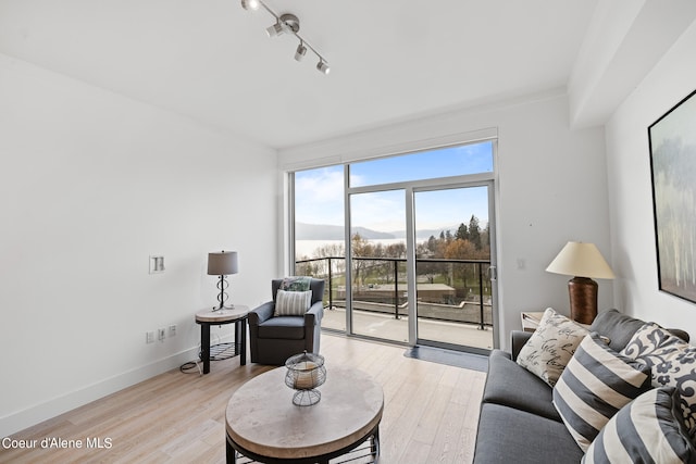 living room featuring a mountain view, rail lighting, light hardwood / wood-style floors, and ornamental molding