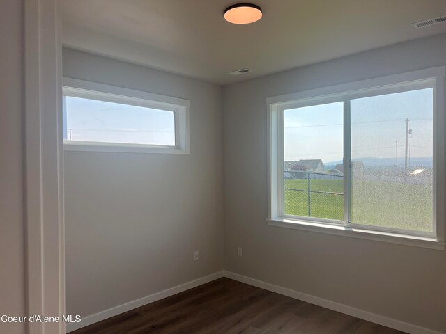 empty room with dark hardwood / wood-style flooring and a wealth of natural light