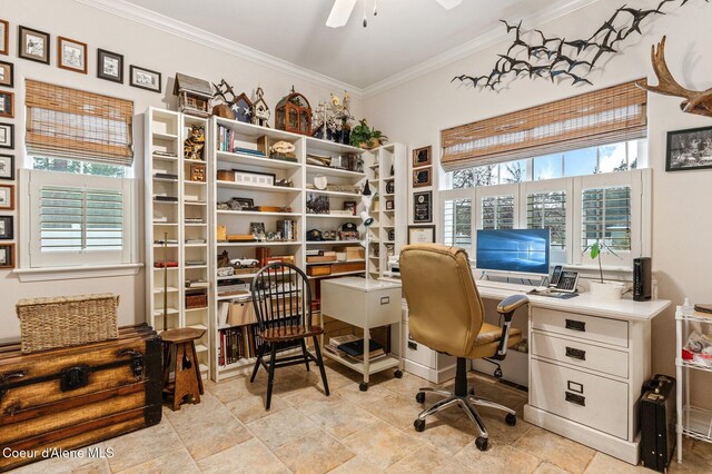 office space with ceiling fan and ornamental molding