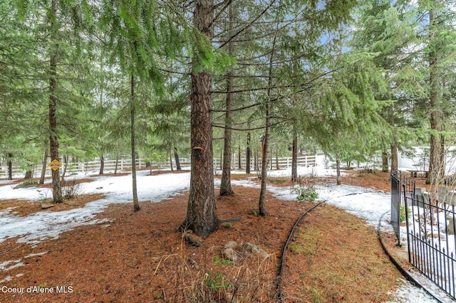 view of snowy yard