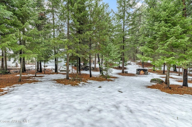 view of yard layered in snow