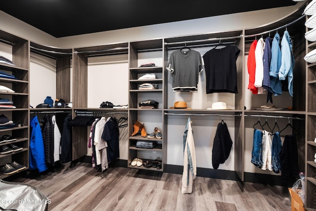 spacious closet featuring wood finished floors