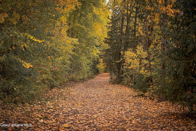 view of street with a wooded view