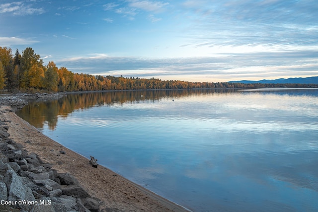 property view of water featuring a wooded view