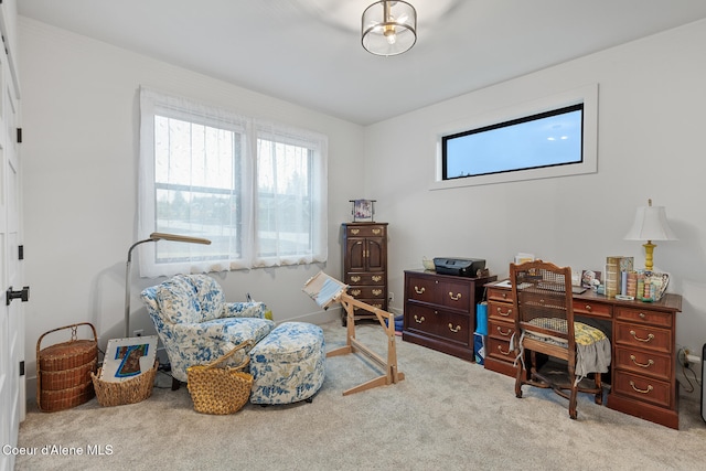 view of carpeted office