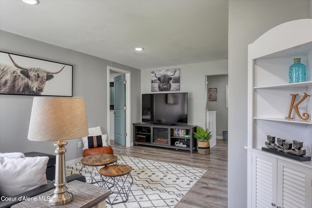 living room with wood-type flooring