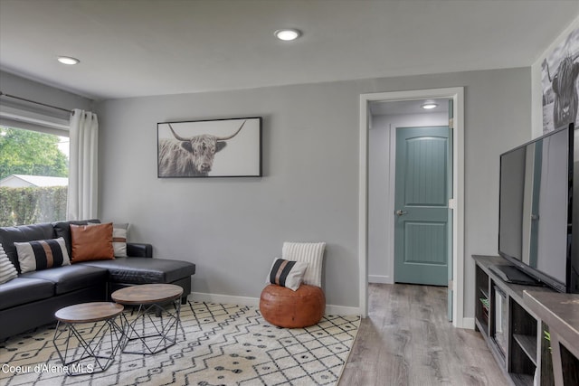 living room featuring light wood-type flooring