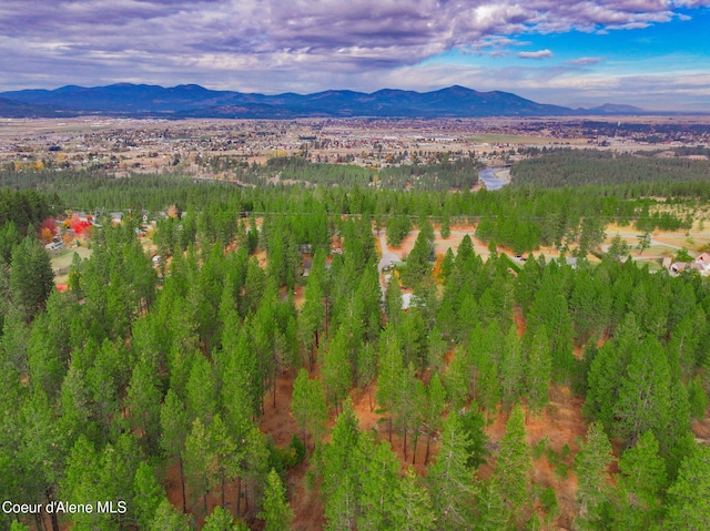 694 S Signal Point Rd, Post Falls, ID 83854 - bird's eye view of mountains